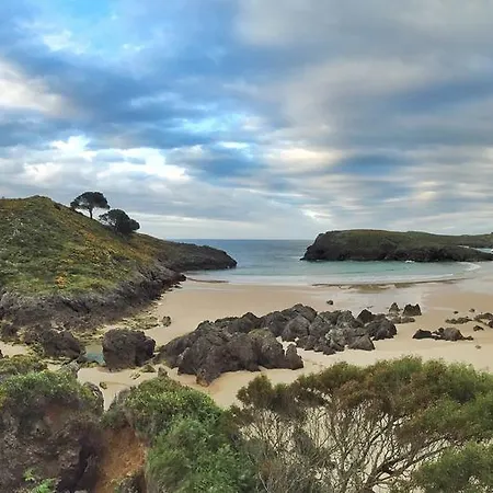 Albatros Barro (Llanes)