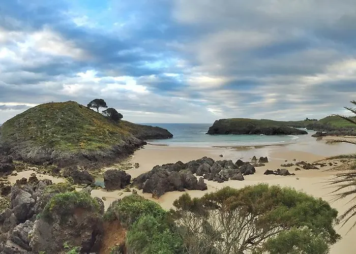 Albatros Barro (Llanes)